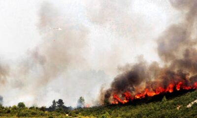 Alevlerle mücadele devam ediyor! Bir ilde daha yangın..