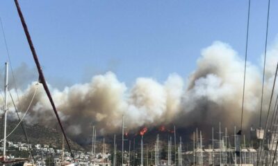 Milas’taki yangın Bodrum’a sıçradı! 2 mahalle, oteller ve tersaneler bölgesi boşaltıldı!.