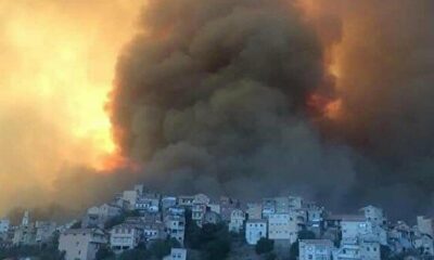 Cezayir’deki orman yangınlarında hayatını kaybedenlerin sayısı 69’a yükseldi!.