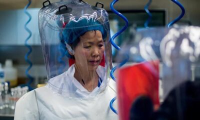 Covid-19’un sıfır noktasında ki Yarasa Kadın konuştu! “Mutasyon devam edecek!.”