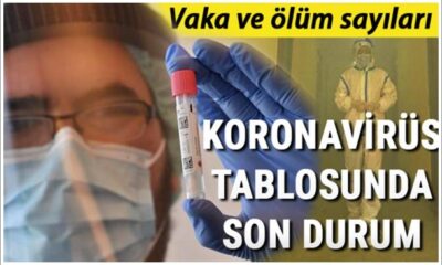 Türkiye’nin 1 Ağustos coronavirüs raporu açıklandı!.