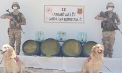 Hakkari’de narkotik operasyonu! 318 kilo esrar ele geçirildi!.