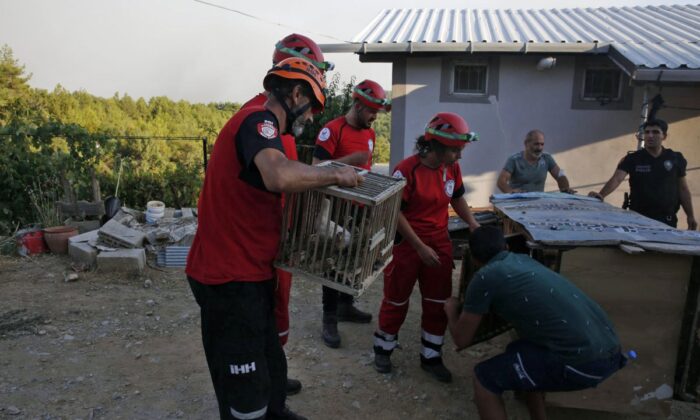 İHH ekipleri yangın bölgelerinde..