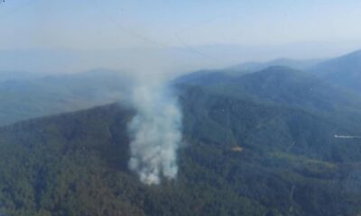 İzmir’de orman yangını! Müdahale sürüyor!.