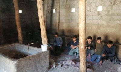 Van’da, 2 ahır içinde 42 kaçak Afgan göçmen yakalandı!.