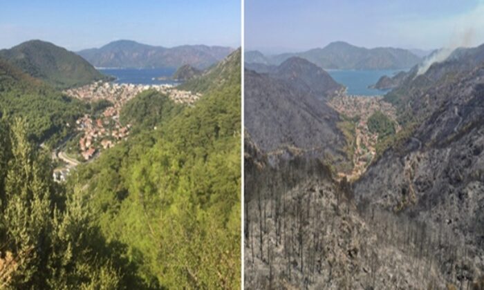 Marmaris İçmeler’de yürek burkan görüntü..