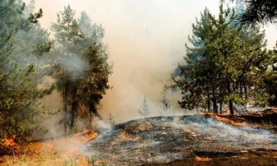Büyük orman yangınlarının tamamı kontrol altına alındı!.