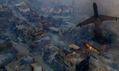 Ormanların yangınlarının maddi bilançosu ortaya çıktı!.