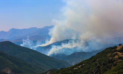 Tunceli’deki çıkan üç yangından ikisi söndürüldü!.