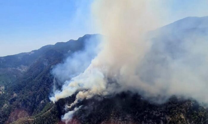 Muğla Köyceğiz’de orman yangını! Havadan müdahale başlatıldı!.