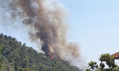 Dalaman’da orman yangını çıktı!.