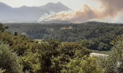 Yangınları terör örgütü PKK üstlendi!.