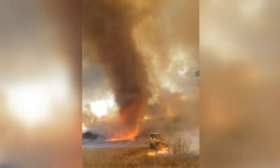 ABD’deki orman yangınlarında alev hortumu görüntülendi!. (video haber)