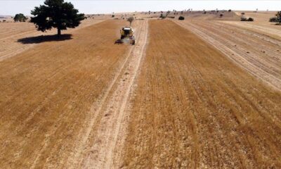 Türkiye Avrupa’da lider, dünyada ilk 10’da..