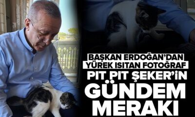 Başkan Erdoğan’dan gülümseten paylaşım..
