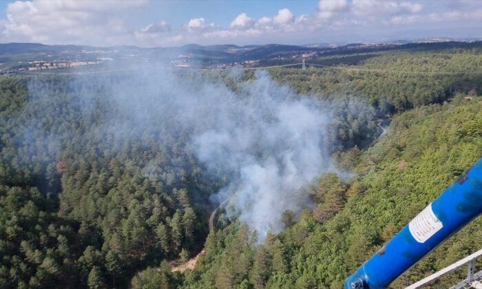 Balıkesir’de orman yangını..