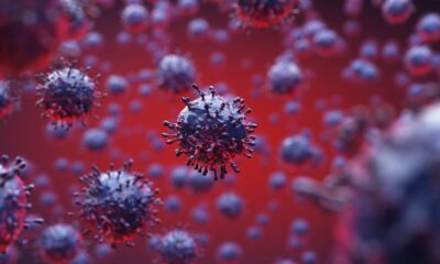 Kabus bitmiyor! Mu varyantı ABD’nin 49 eyaletine sıçradı!.