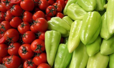 Rusya’dan flaş Türkiye kararı!. Domates ve bibere uygulanan ambargo kaldırıldı..