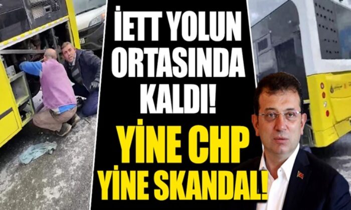 Yine İstanbul, yine ulaşım rezaleti! İETT yolun ortasında kaldı!.