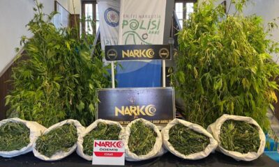 İzmir’de zehir tacirlerine baskın..