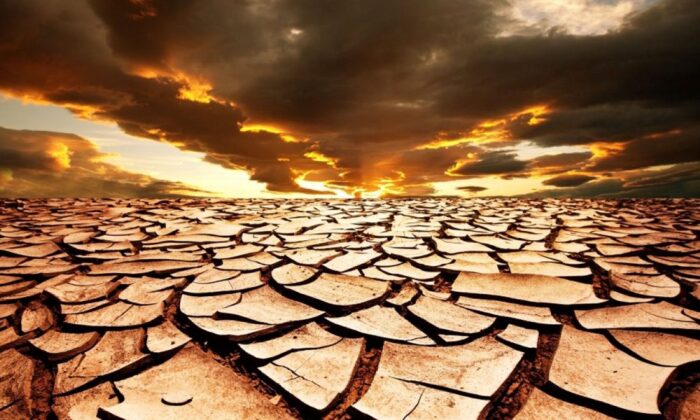 Türkiye, en şiddetli kuraklığı ağustos ayında yaşadı!.