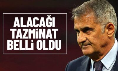 TFF’nin Şenol Güneş’e ödeyeceği tazminat belli oldu!.