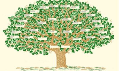 Soyağacı hizmetinde yeni uygulama başladı!.