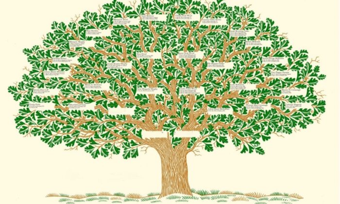 Soyağacı hizmetinde yeni uygulama başladı!.