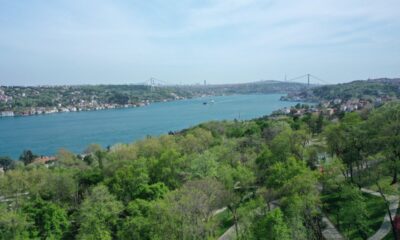 İstanbul’da ormanlara girmek 30 Eylül’e kadar yasak..