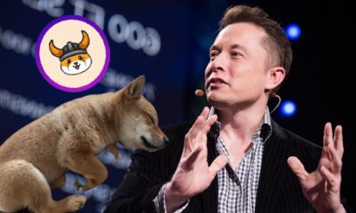 Elon Musk’ın köpeğini kripto para yaptılar! Shiba Inu, rekor kırdı!.