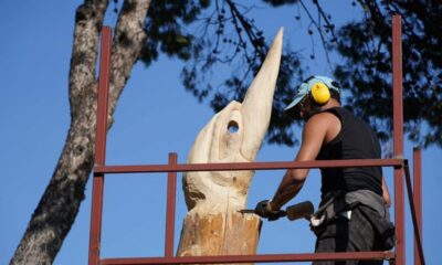 CHP’li Çeşme Belediyesi kuruyan ağaçları heykele dönüştürecek!.