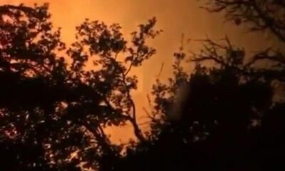 Kemer’de çıkan orman yangınına müdahale ediliyor!.