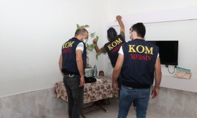 Suç örgütlerine yönelik Sahil Rüzgarı-2 Operasyonu’nda Mersin’de 7 şüpheli yakalandı!.