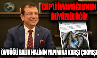 İmamoğlu övündüğü Balık Hali’nin yapımına da karşı çıkmış!.