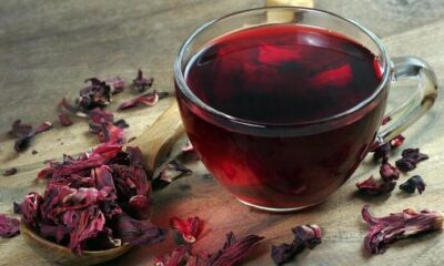 Tabiat eczanesinden şifa iksiri hibiskus bitkisi..