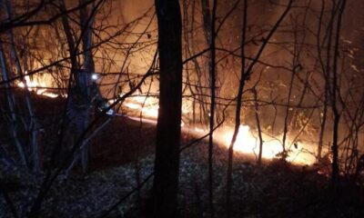 Osmaniye’de orman yangını! Karadan müdahale devam ediyor!.