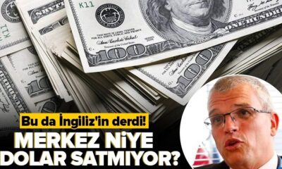 İngilizin derdi belli oldu! Ekonomist Timothy Ash: “Türkiye neden IMF’den borç almıyor?.”