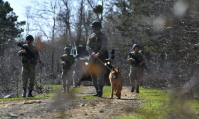 Yunanistan ve Suriye sınırlarından geçmeye çalışan 7 kişi yakalandı!.