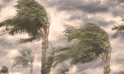 İç Anadolu’da 5 il için kuvvetli rüzgar ve fırtına uyarısı..