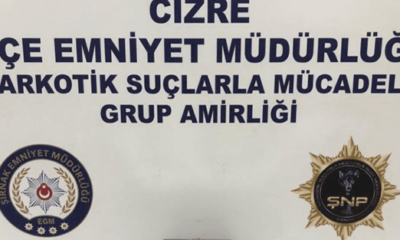 Şırnak’ta dev operasyon! 55 gözaltı..