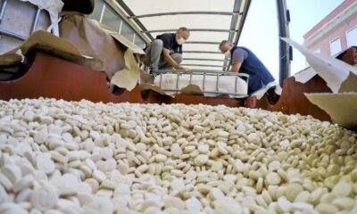 New York Times, Esad rejiminin, uyuşturucu ticareti ağının merkezi olduğunu yazdı!.