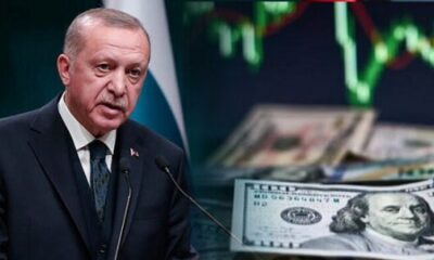 Sert düşüş devam ediyor! Dolar yüzde 22,3 geriledi!.