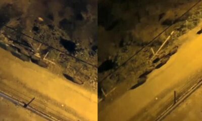 Aç kalan domuz sürüsü ilçe merkezine indi!.