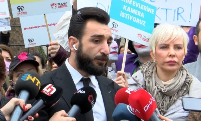 Beşiktaş’ta sokak köpekleri için eylem..