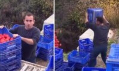 1 liraya alınıp 8 liraya satılan domatesi çiftçiyi isyan ettirdi!. Ürünlerini kendi elleriyle dereye döktü!.