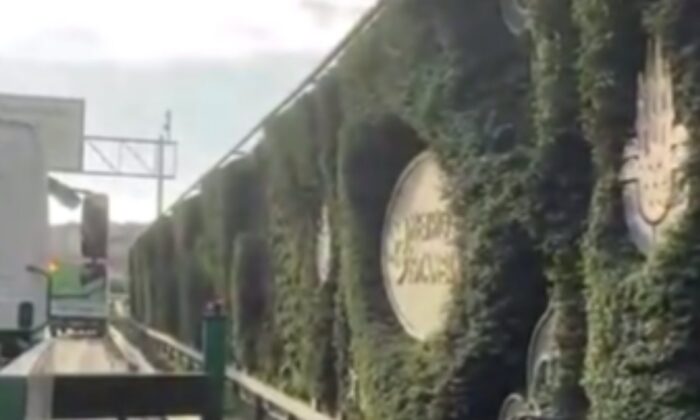 İBB, İstanbul’daki ekolojik yeşil duvarları söküyor!.