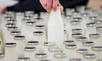 Üreticide 3 lira 30 kuruş olan süt, markette 18 lira..