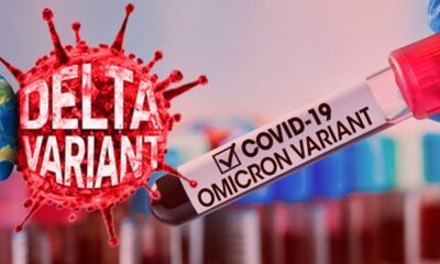 Salgınının sonu mu geliyor?. Omicron ve Delta varyantına ilişkin dikkat çeken araştırma..