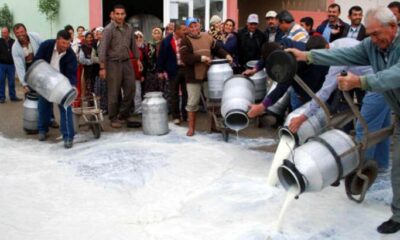 Süt üreticileri isyan etti: Bizden 3 liraya aldığınız sütü nasıl 15 liraya satıyorsunuz!.