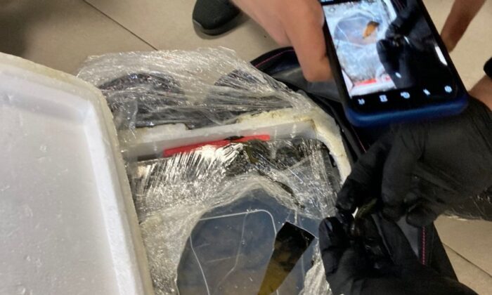 İstanbul Havalimanı’nda 4 bin canlı tıbbi sülük ele geçirildi!.